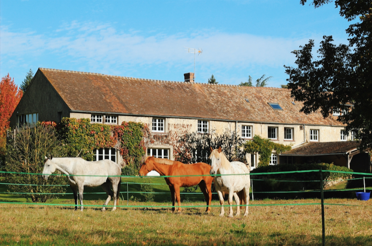 chevaux domaine activités vélosclairefontaine