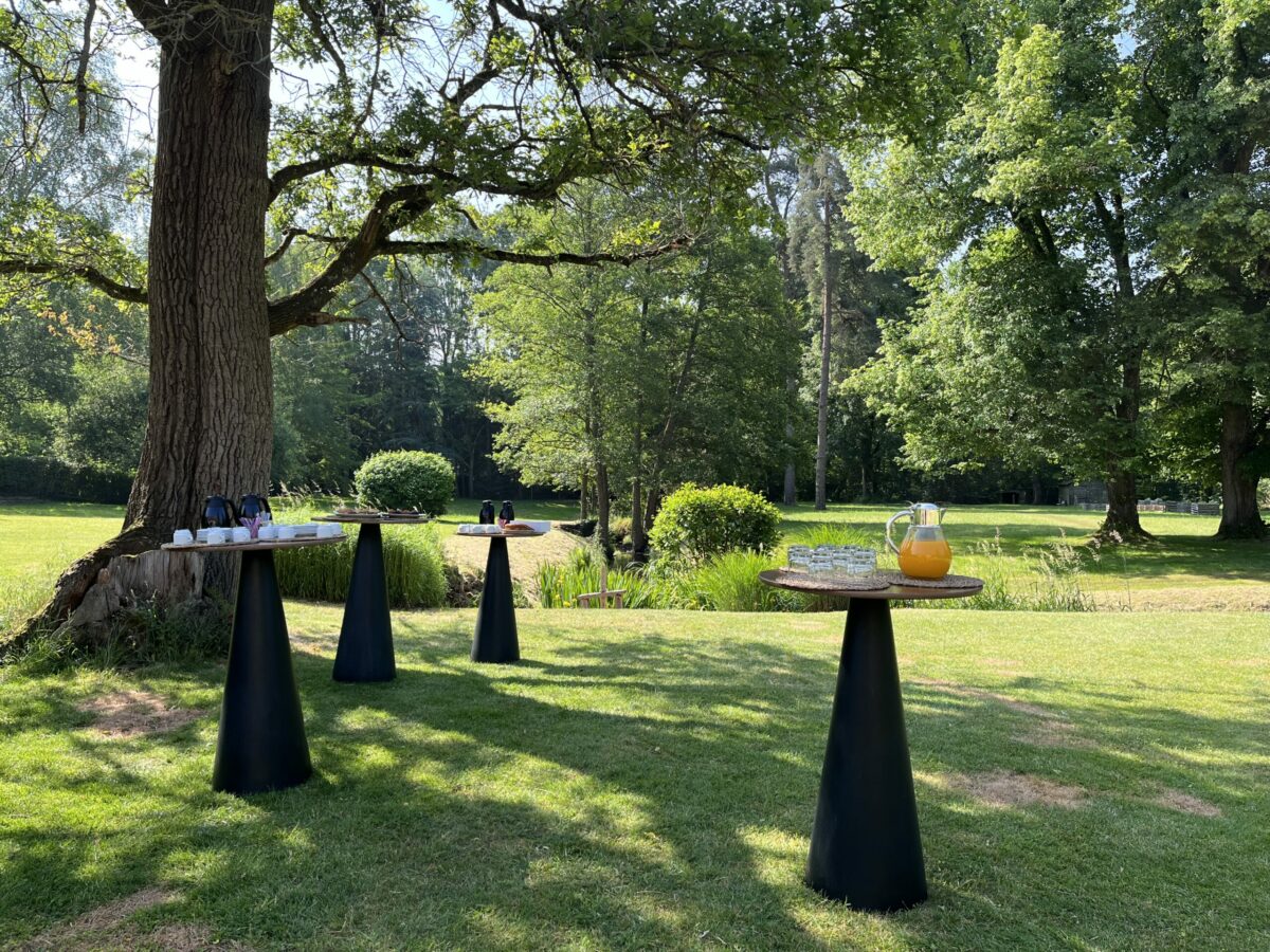 réception dans le parc