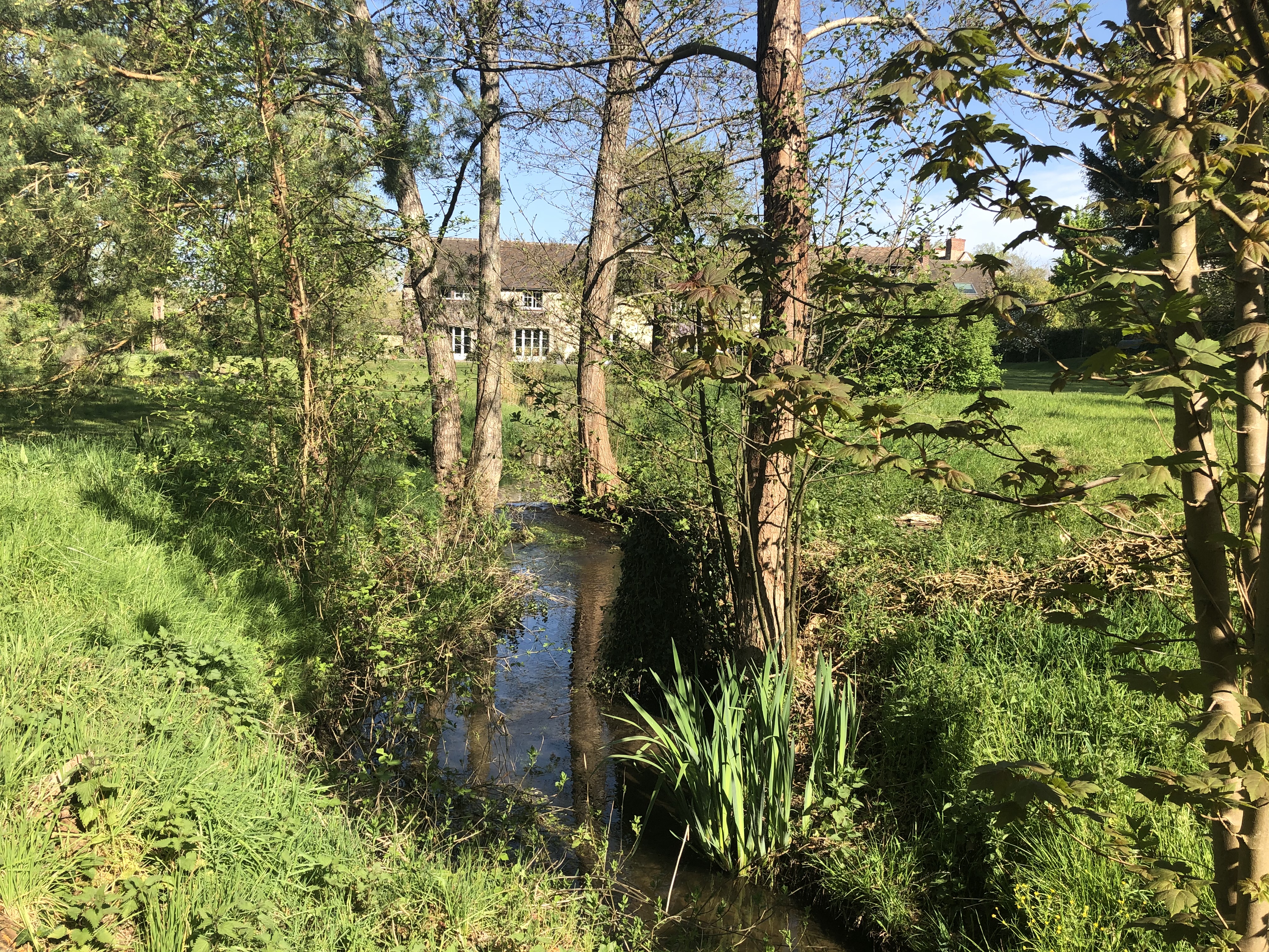 cours d'eau rivière lac étang chevreuse