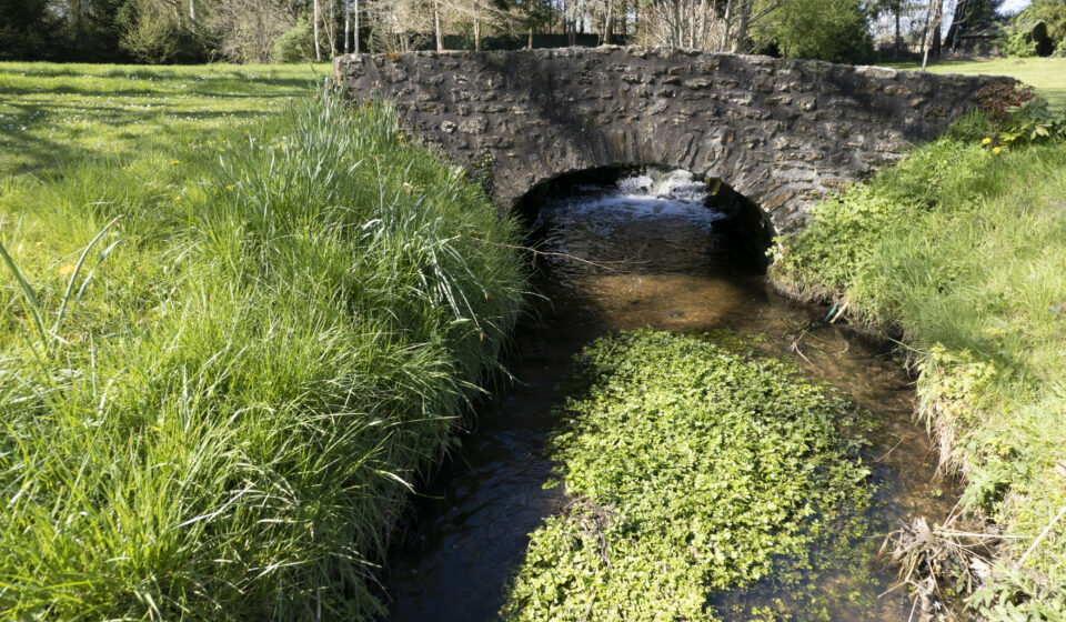 nature inspirante jardin charme yvelines cadre historique