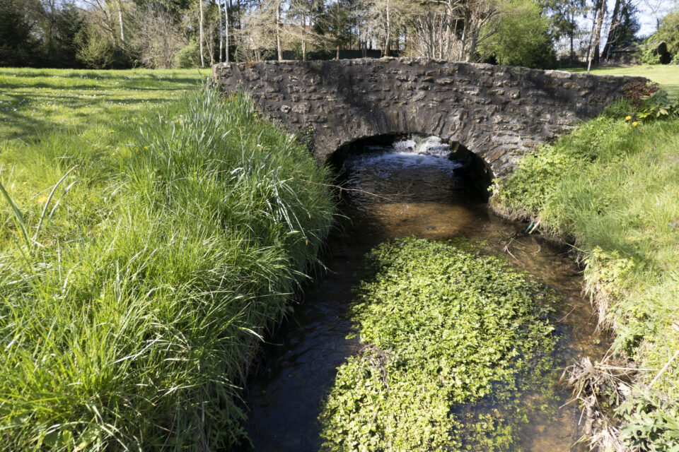 nature inspirante jardin