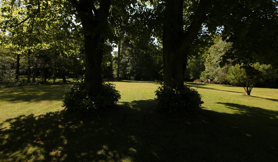 Jardin maison hotes 