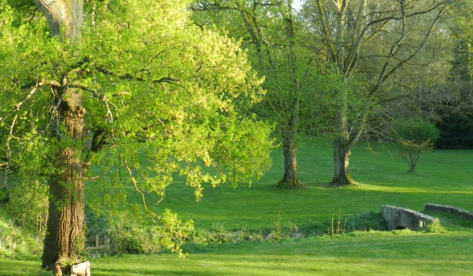 parc arboré nature préservée yvelines cadre romantique