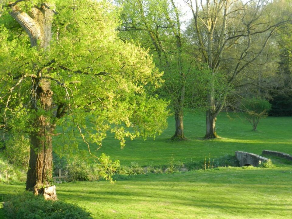 parc arboré nature préservée yvelines cadre romantique